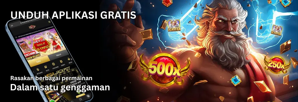 ZOOM55